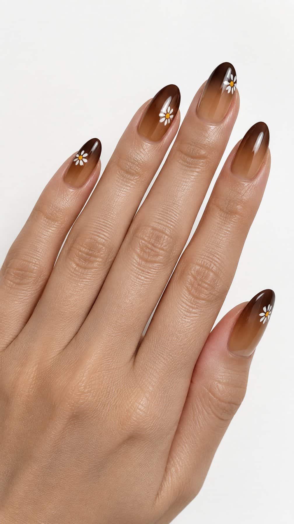 Brown ombre nails and small white daisy designs