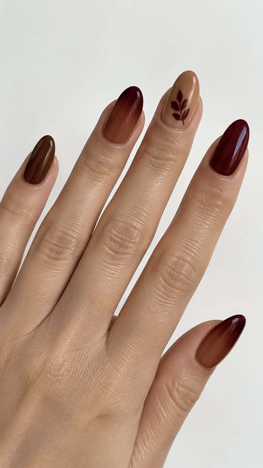 Glossy brown and burgundy manicured nails