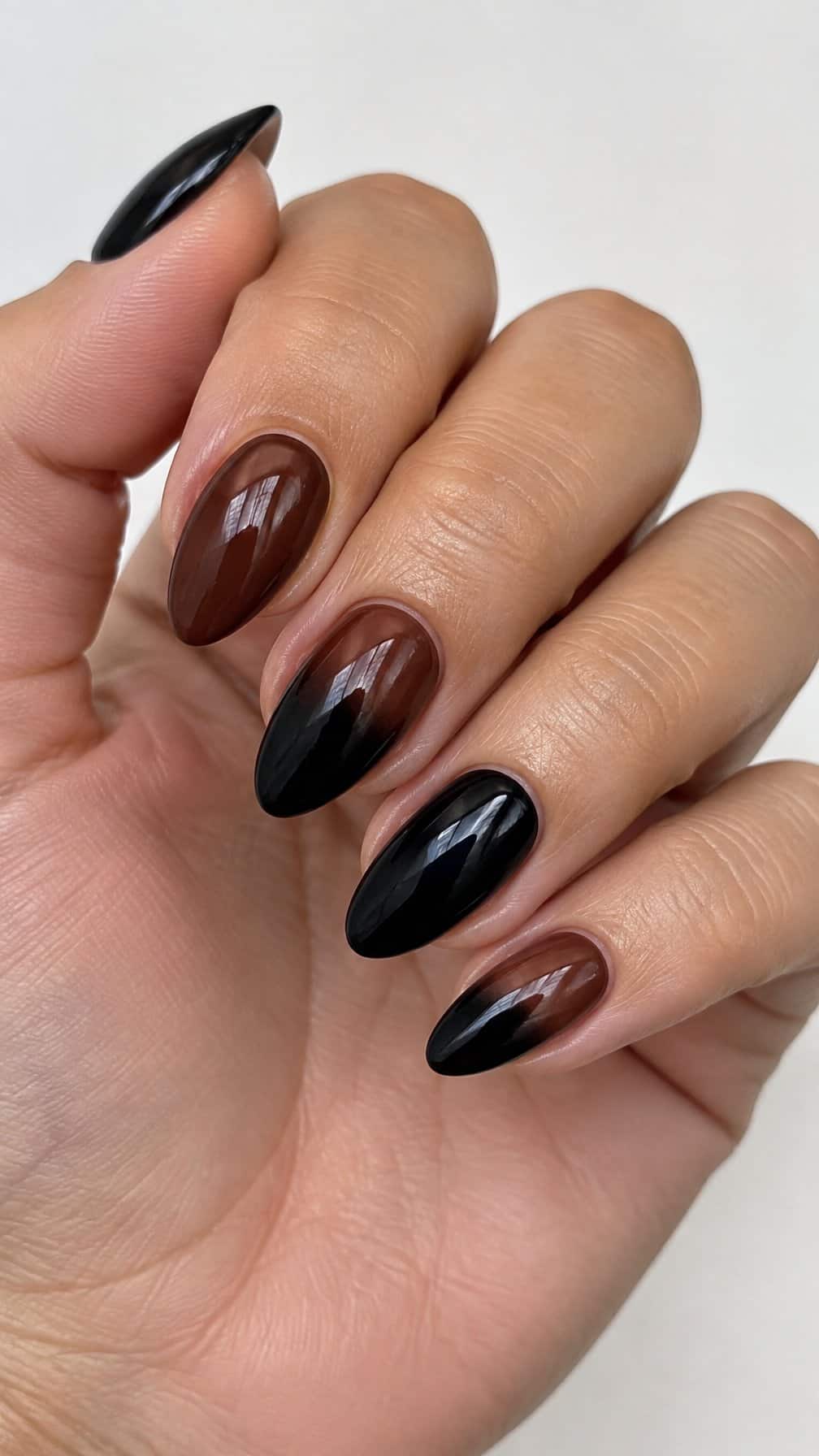 Glossy dark brown and black ombre manicured nails